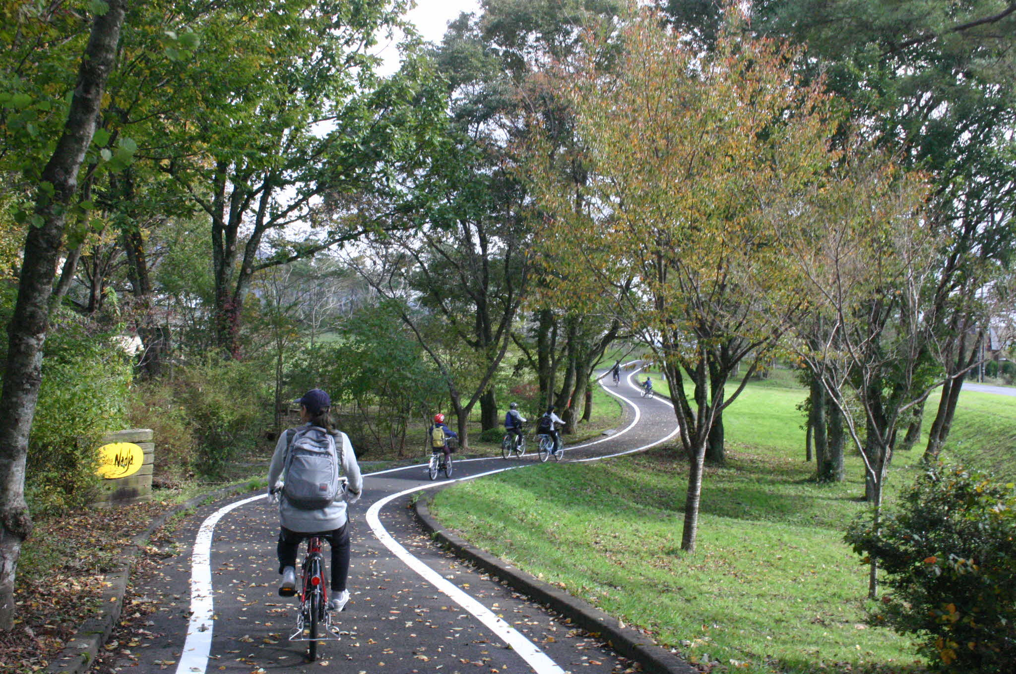 高原サイクリングの様子