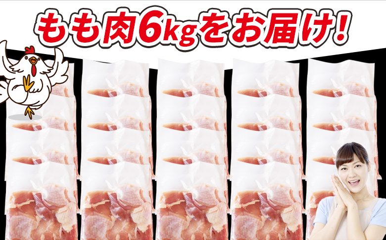 ＜宮崎県産若鶏切身 もも肉 6kg（300g×20袋）＞ 3か月以内に順次出荷 【 からあげ 唐揚げ カレー シチュー BBQ 煮物 チキン南蛮 小分け おかず おつまみ お弁当 惣菜 時短 炒め物 