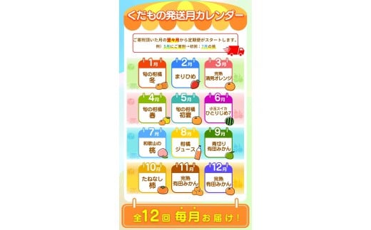 【全12回定期便】 わかやま旬のくだもの定期便 【Ｓ】 （配送日時指定不可）  / 定期便 フルーツ みかん いちご イチゴ 清見オレンジ セミノール 河内晩柑 カラマンダリン すいか 桃 ジュース 