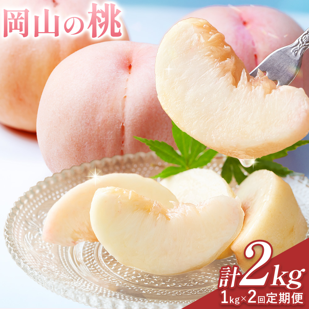 【2ヶ月定期便】桃 岡山の桃 約1kg(3～5玉)×2回発送《7月上旬-8月末頃発送》岡山県 笠岡市 白桃 岡山 はくとう スイーツ フルーツ 果物 デザート 旬 モモ もも 送料無料 果物 清水白桃 白鳳 白麗 クール便---kasaoka_zsytei_322_10m2---
