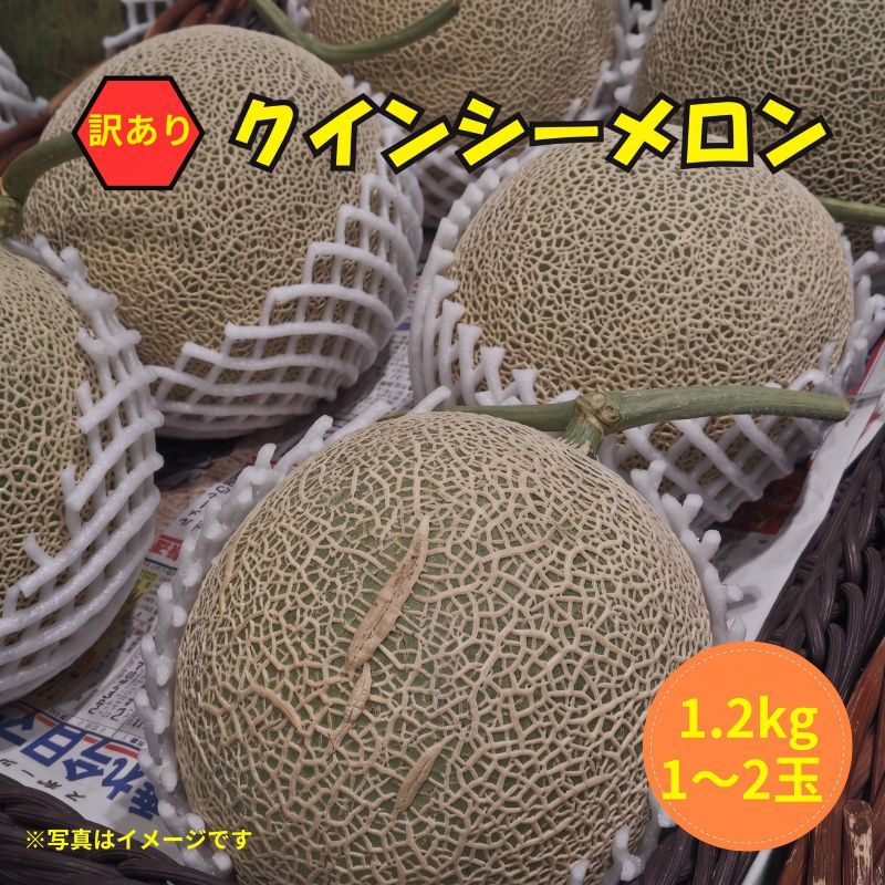【ふるさと納税】 メロン 訳あり クインシーメロン 選べる玉数 1～2玉 めろん 赤肉 フルーツ 果物 くだもの 果実 旬 茨城県産 国産 1玉 2玉 ご家庭用 訳アリ わけあり 家庭用 melon meron 数量限定 期間限定 産地直送 ほこた ほこたメロン 茨城県 鉾田市 長洲農園