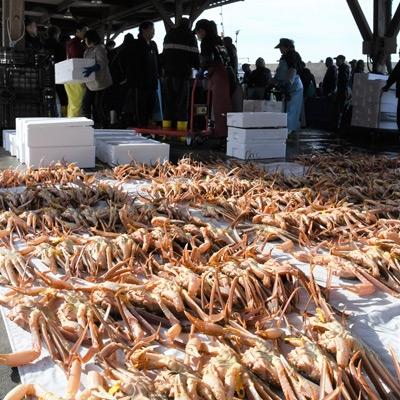 ふるさと納税 越前町 【越前海岸・美味直送シリーズ】越前がに・ズワイ甲羅盛り2個セット |  | 03
