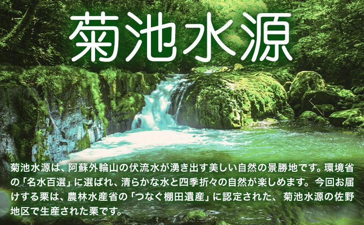 菊池水源産 さのまろん 冷凍剥き栗 内容量 約800g 農事組合法人菊池佐野《30日以内に出荷予定(土日祝除く)》熊本県 菊池市 栗 むき栗 筑波 冷凍 熊本県産 九州産 国産 送料無料 ---176