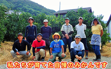 セミノール 特選 Lサイズ 柑橘 セミノール【33玉 約5kg】【先行予約】