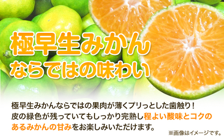 YN26 極早生 みかん 約 5kg（2S～Mサイズおまかせ）《2024年9月中旬-10月末頃出荷》和歌山県 日高川町 フルーツ 果物 極早生 厳選館