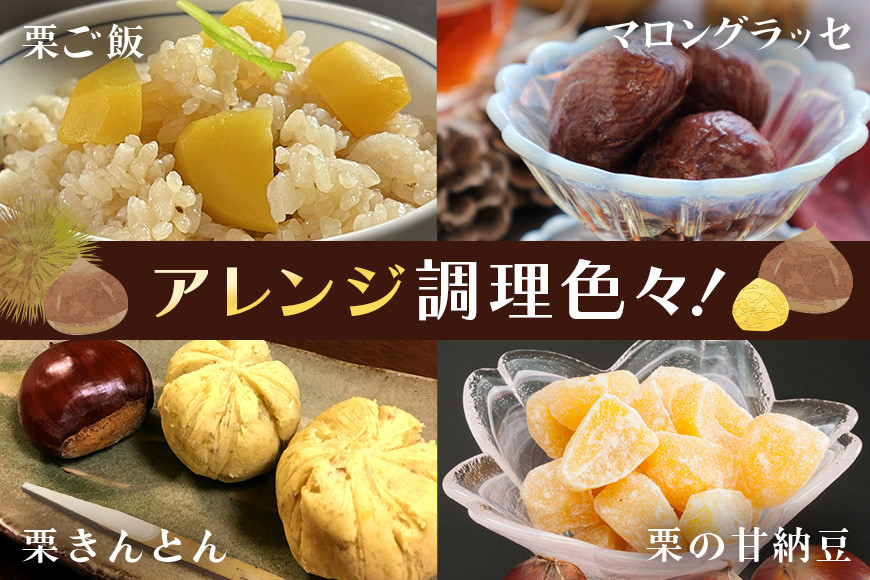 アカツファームの生栗 超特大 メガマロン 4Lサイズ以上 2kg 栗 笠間 栗 くり 生栗 特大 大きい 大粒 国産 国産栗 和栗 甘栗 栗ご飯 栗きんとん 栗おこわ 甘露煮 マロン 秋 旬 おやつ スイーツ きんとん 保存料不使用 無添加 ギフト 茨城県 笠間市
