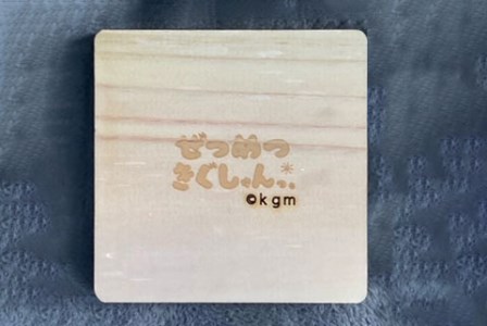 ぜつめつきぐしゅんっ。 木製コースター5枚セット パンダしゅん