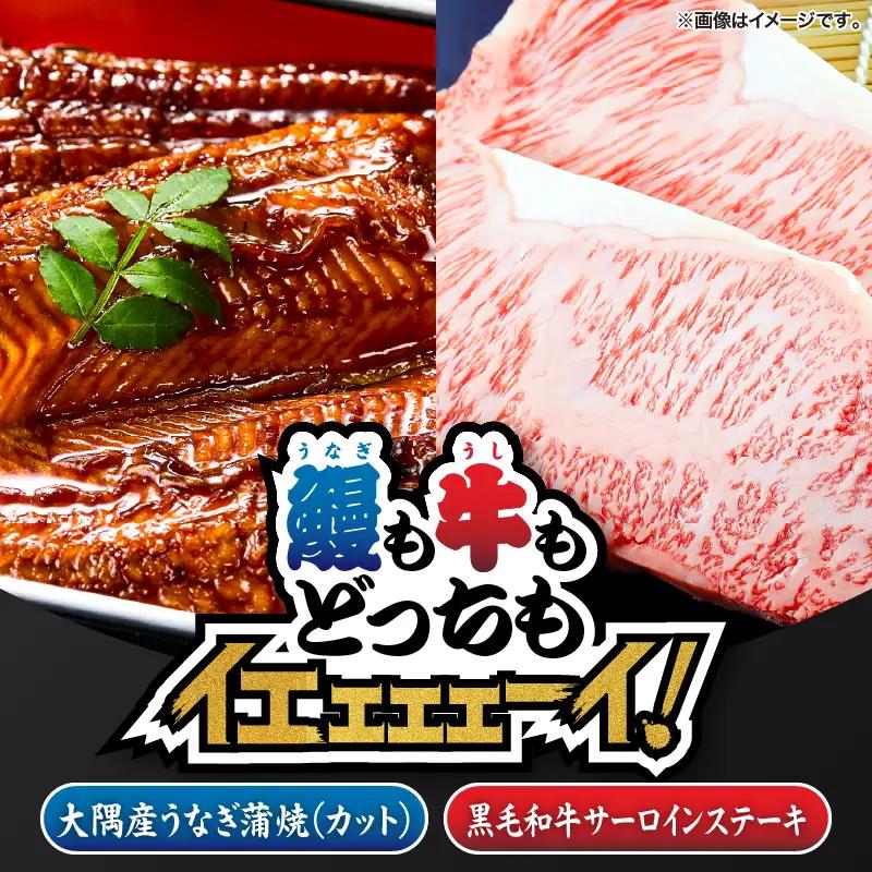 2472 【鰻も牛もどっちもイエェェェーイ！5】鹿児島県大隅産「カット」うなぎ蒲焼80g×1枚 うしの中山サーロインステーキ200g KN050-017 うなぎ 本格 鰻 ウナギ 蒲焼 湯煎 レンジ 解凍 簡単調理 鰻丼 鰻重 ひつまぶし 土用の丑 黒毛和牛 和牛 牛肉 肉 国産 サーロイン ステーキ A5 冷凍  nixy 中山亭 鹿屋店 ふるさと納税 鹿児島 鹿屋市 おすすめ ランキング プレゼント ギフト