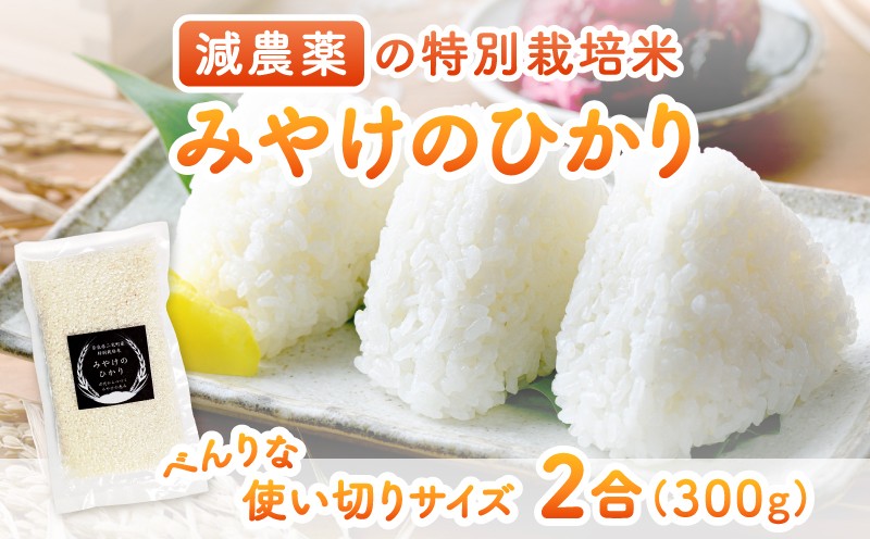 
                  特別栽培米 みやけのひかり 2合 300グラム お試しヒノヒカリ 減農薬米 奈良県 三宅町 国産米 白米 ｢ひのひかり｣ おいしい 冷めても もちもち 安心 おにぎり お弁当
                