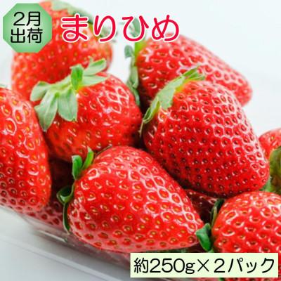 ふるさと納税 紀の川市 【発送月固定定期便】和歌山の旬のフルーツ(いちご・いちじく・みかん・キウイ)定期便全4回 |  | 01