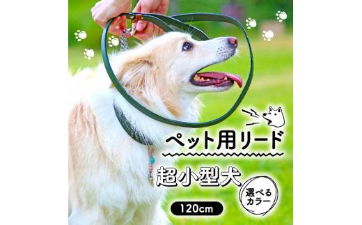 ペット用 リード 超小型犬用 オレンジ 120cm 本革 ペット 犬 愛犬 ワンちゃん 超小型犬 首輪 リード 本革 レザー 牛革 牛 散歩 さんぽ ウォーキング 健康 おしゃれ 消耗品 大阪府 松原