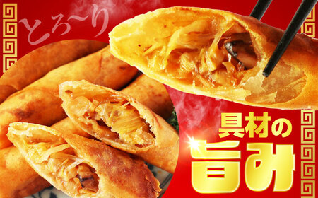 加登屋の町中華 餃子・春巻セット 4人前 【加登屋食堂】冷凍餃子 簡単 おすすめ[MGQ005]