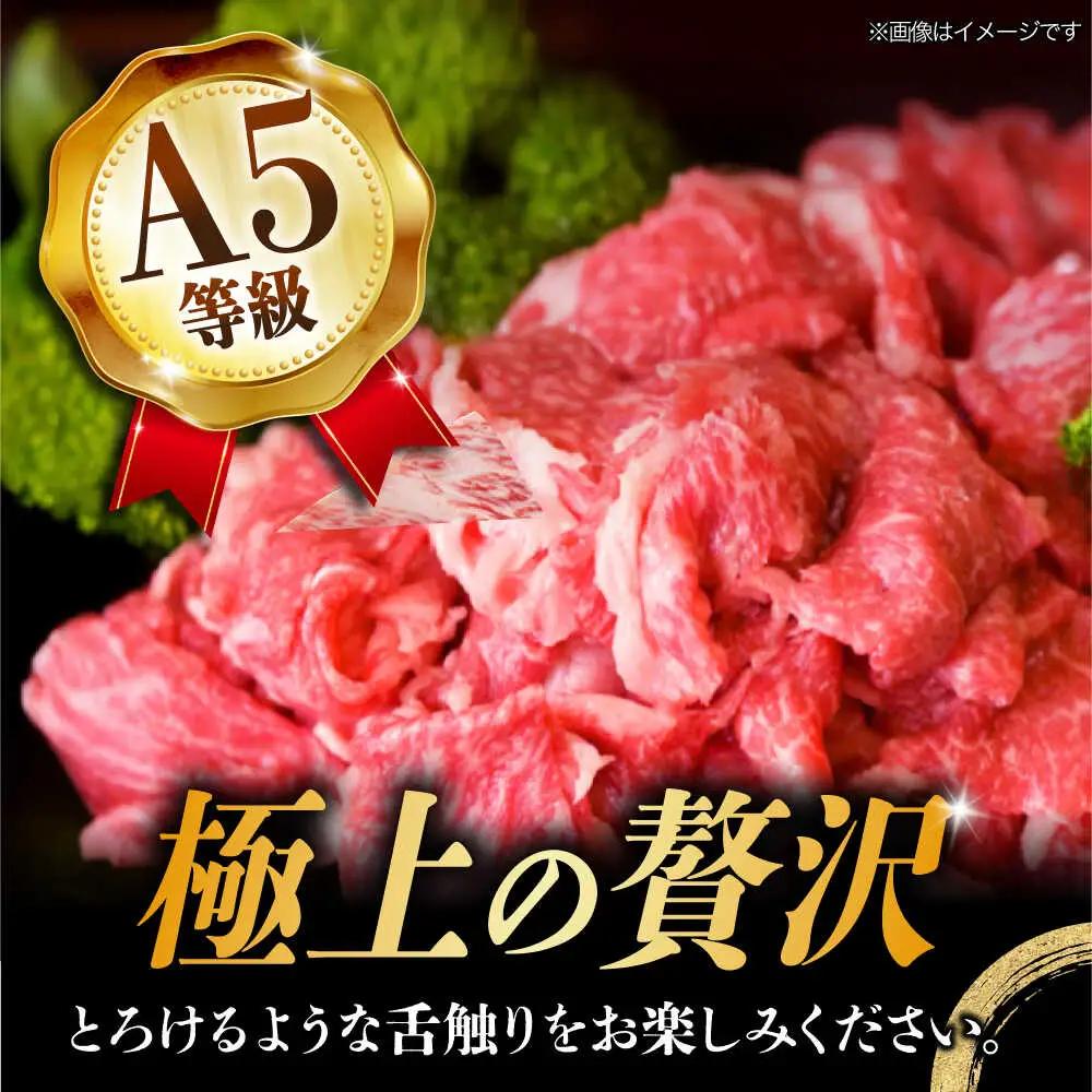 【6回定期便】【飛騨牛】A5等級切り落とし 1kg [TAZ016] 肉 定期便