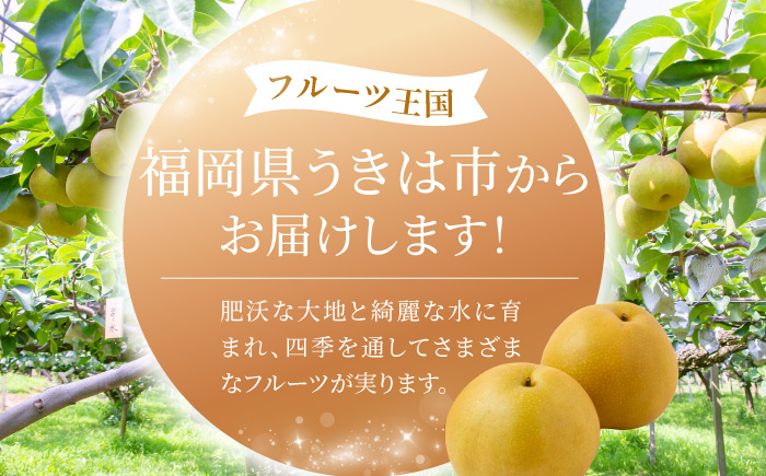 豊水梨 6～10玉 （約3kg）