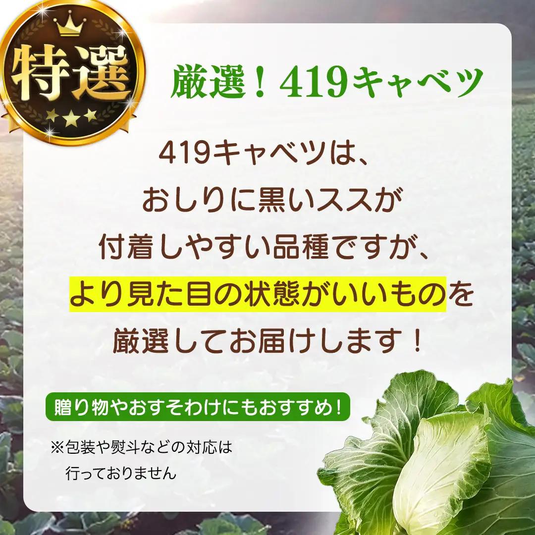 ＜レビューキャンペーン開催中＞＜7月中旬発送開始＞ 【 特選 】 まぼろしの419キャベツ 4玉 [AL021tu]