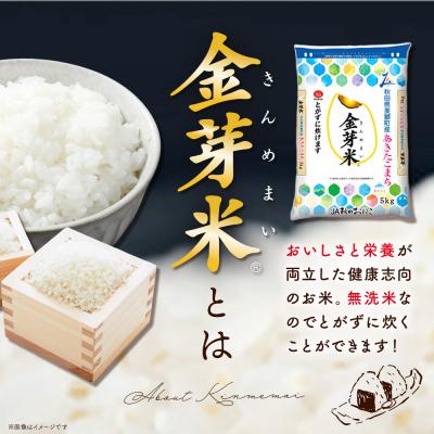ふるさと納税 美郷町 令和7年産 金芽米 あきたこまち 5kg|01_amd-920501 |  | 03