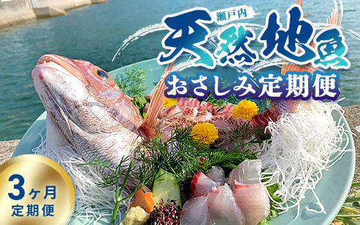 
【定期便3ヶ月】瀬戸内「天然」地魚【おさしみ定期便】（急速凍結）| 定期便 3ヶ月 魚介類 海の幸 海鮮 国産 日本産 広島県産 即日加工 急速凍結 鮮度抜群 マダイ マダコ 刺身 魚 瀬戸内海
