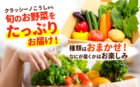 【年5回コース定期便】【数量限定】合志の旬のお野菜10〜12品目【一般社団法人クラッシーノこうし】[AYAB020]