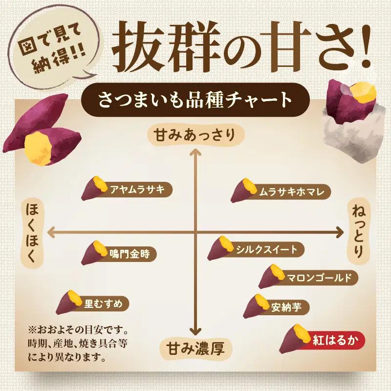 【先行予約】京丹後産 紅はるか 約1.5kg 土付き（2026年10月上旬～発送）