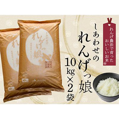 ふるさと納税 交野市 JA北河内しあわせのれんげっ娘(精米)10kg×2(交野市)