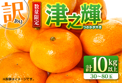 先行予約 訳あり 数量限定 津之輝 つのかがやき 10kg以上 (5kg×2箱) フルーツ 果物 くだもの 柑橘 みかん 国産 食品 おすすめ 訳アリ ご家庭用 ご自宅用 B品 傷 おすそ分け デザート おやつ フルーツサンド ジュース 宮崎県 日南市 送料無料 南郷包装津之輝 うめぇもん祭_D74-23