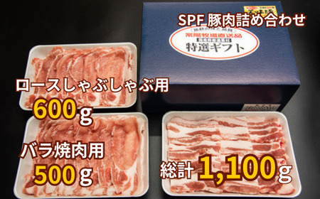 常陽牧場SPF豚肉詰め合わせ（豚ロースしゃぶしゃぶ用 300g×2パック、豚バラ焼肉用 500g×1パック）【配送不可地域：離島】【豚肉 肉 にく 豚肉 ミート しゃぶしゃぶ 豚肉 焼肉 国内認定農場 豚肉 ブランド豚 人気 ギフト 豚肉 贈答 プレゼント 食べ比べ 豚肉 詰め合せ セット 豚肉 国産 豚肉 小分け】