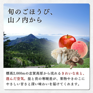 【2026年発送】志賀高原の麓で育った 種なし 巨峰 3～5房 約2kg ぶどう フルーツ 果物 デザート 長野県 長野