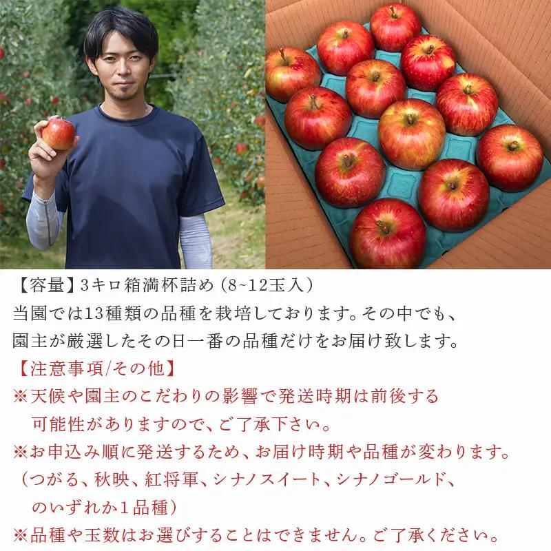 『先行予約』【令和8年8月中旬発送】厳選 九州旬のりんご 3キロ箱(8～12玉入) 九州 リンゴ 林檎 フルーツ 果物 つるが 秋映 紅将軍 シナノスイート シナノゴールド 3kg