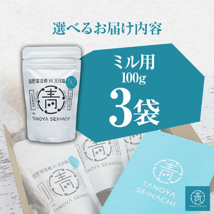 【四国一小さなまちのお塩】 塩職人 田野屋青蜂　完全天日塩ミル用セット 