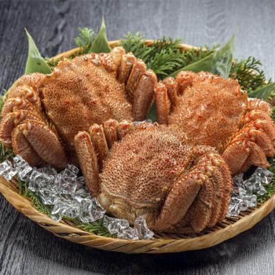 ふるさと納税 森町 【北海道近海産】産地直送　浜茹で毛ガニ400g前後×3尾