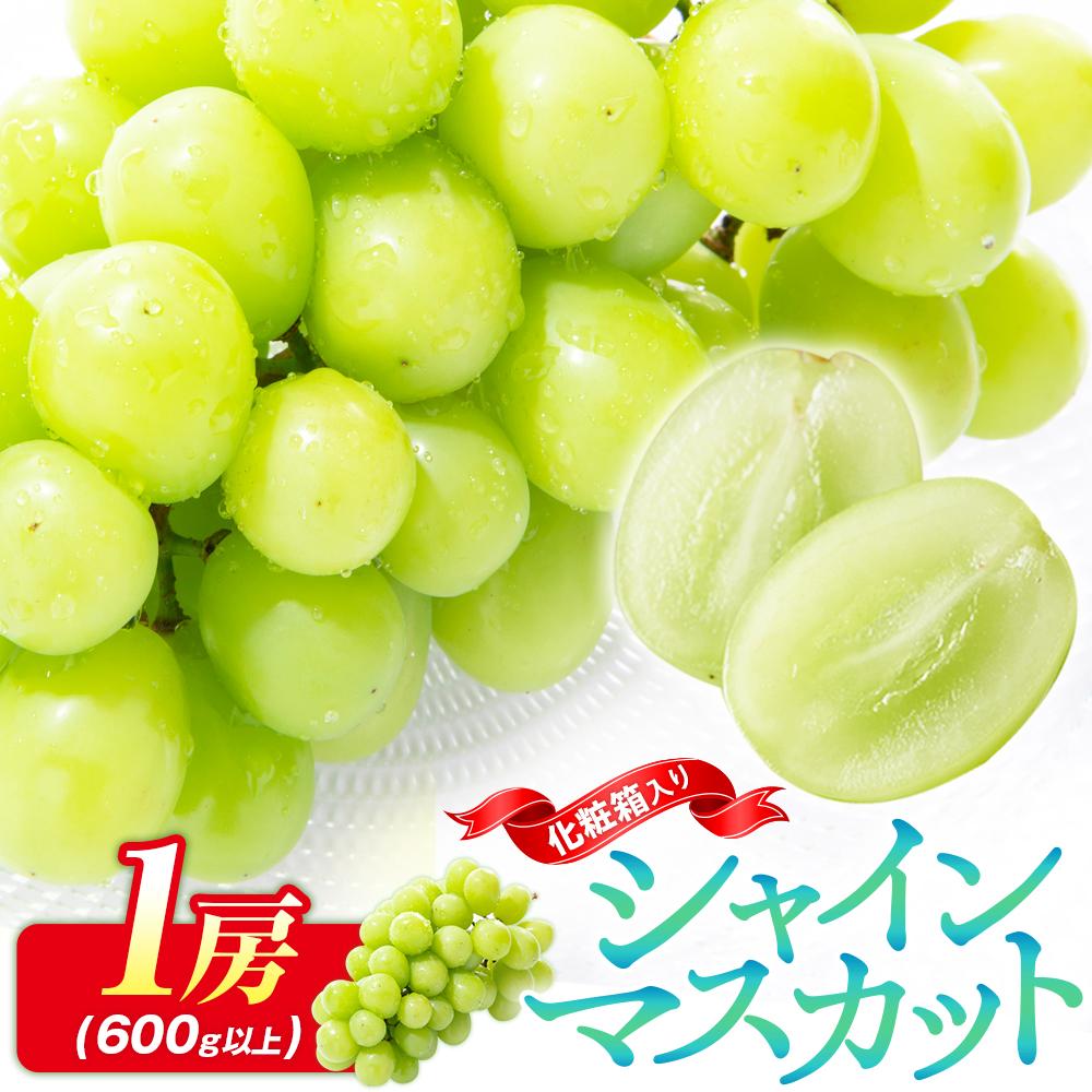 【ふるさと納税】シャインマスカット 化粧箱 1房 ( 600g以上 ) 【2026-8月下旬～2026-9月下旬配送】 | ギフト 贈り物 プレゼント 果物 フルーツ デザート スイーツ 産地直送 人気 おすすめ お取り寄せグルメ