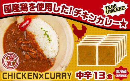 カレー倶楽部ルウの26食カレーセット(ビーフ13食＆チキン13食)_14-2701_(都城市) ビーフカレー 都城産黒毛和牛使用 チキンカレー 国産鶏使用 チルド食品