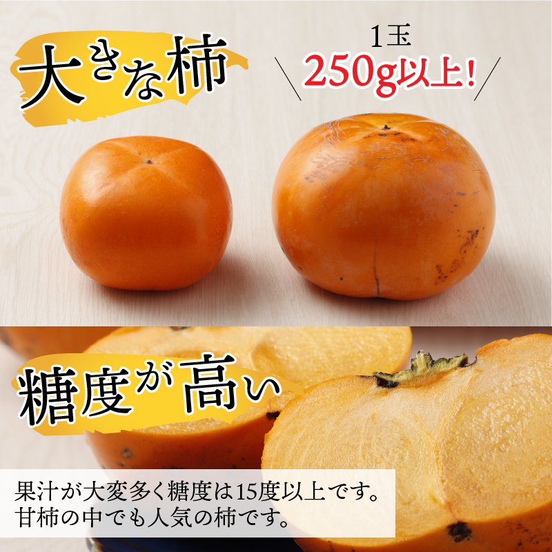 【先行予約】あま～いサクサク食感 太秋柿 3kg (7～10玉) / 梨のような柿 柔らかい フルーツ 柿 かき 糖度が高い あわら市産 くだもの 甘柿※2024年11月中旬より順次発送