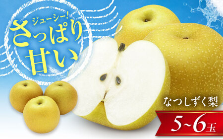 尾形農園のなつしずく梨 5～6玉入り 〈2026年8月～発送〉 ／ フルーツ 果物 くだもの 食品 人気 おすすめ 送料無料 梨 なし なつしずく梨 季節のフルーツ 【株式会社内子フレッシュパークからり】 [BKAD064]