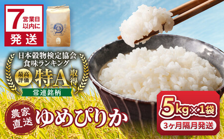 【3回隔月定期便】岩崎農園 白米 特A ゆめぴりか 5kg 北海道 旭川市 定期便 精米 ブランド米 _05537