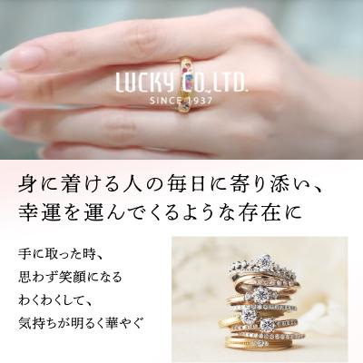 ふるさと納税 甲府市 プラチナ シンプルダイヤモンドネックレス(0.3ct)60-8971 |  | 01