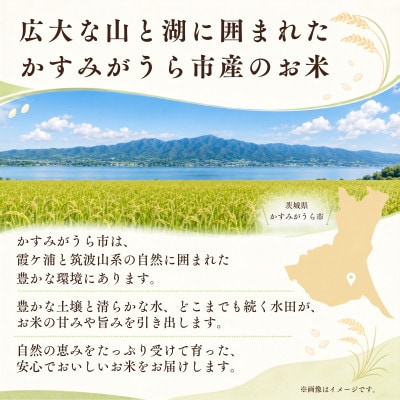 【毎月定期便】新米 コシヒカリ 5kg全6回 | お米 おこめ こしひかり 茨城県かすみがうら市産