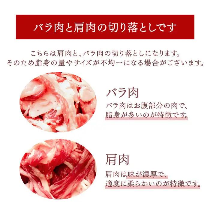 訳あり 博多和牛 切り落とし 500g ×1パック | 切り落とし 小分け  不揃い