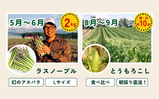 【令和８年産予約受付！】～美瑛の四季～ 野菜の定期便【白樺(大)】4回便