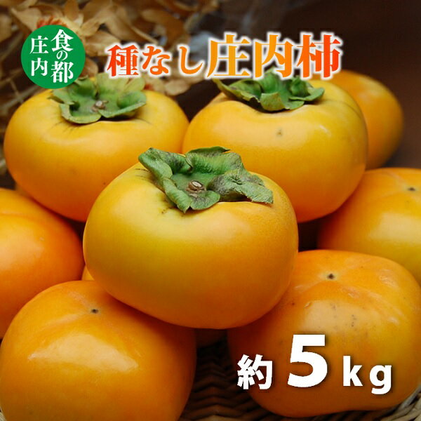【ふるさと納税】食の都庄内　種なし庄内柿約5kg　※令和8年10月下旬頃より順次配送　（マルショウ青果）