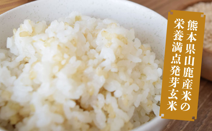 【金賞受賞米使用】くまもとの元気！発芽玄米 2kg×2袋【株式会社 れんげ・カンパニー】 [ZAX003]