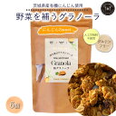 【ふるさと納税】野菜を補うグラノーラ（にんじんSweet）6個セット【茨城県産有機にんじん使用】人工甘味料不使用　グルテンフリー※離島への配送不可