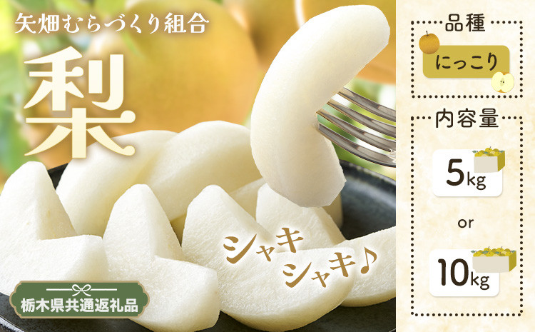 
            N05 梨 なし にっこり梨 5kg or 10kgフルーツ 先行予約 矢畑むらづくり組合《9月下旬-10月中旬頃出荷》 栃木県【栃木県共通返礼品　栃木県産】【配送不可地域あり】(離島)
          
