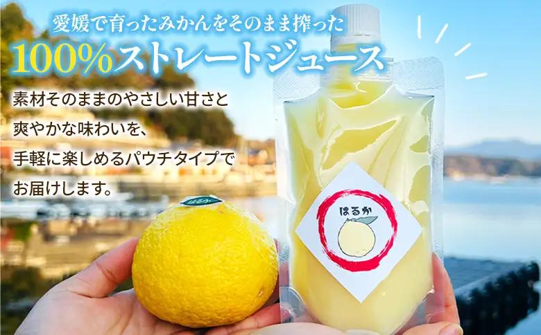 ＜100％ストレートジュース パウチタイプ 160ml×10個（2種類×5）＞『1か月以内に順次発送予定』種類はおまかせ 飲み比べ セット 果物 くだもの フルーツ 柑橘類 みかん 蜜柑 ミカン みか