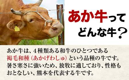 【3ヶ月定期便】 熊本県産 あか牛 ハンバーグ 150g × 10個 南阿蘇食品 《お申込み月の翌月より発送開始》計3回お届け ---sms_fmshbtei_23_39000_mo3num1---