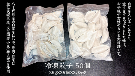 本格らーめん 2食 （ 鶏白湯塩 ）＆ ジューシー白菜餃子 50個 ラーメン 本格 塩 餃子 白菜 冷凍 ふるさと納税 [BF007ya]