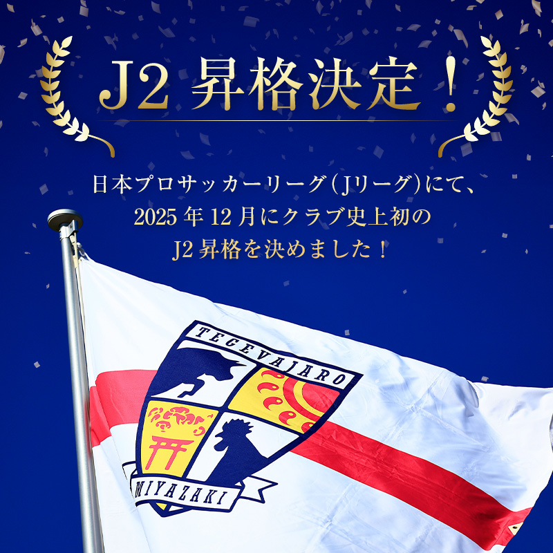 ＜J2昇格応援！＞テゲバジャーロ宮崎の活動支援 1口 5,000円～10,000,000円【返礼品なし】サッカー Jリーグ J2 スポーツ 社会貢献 地域活動 応援寄附 ファン サポーター【S28】_