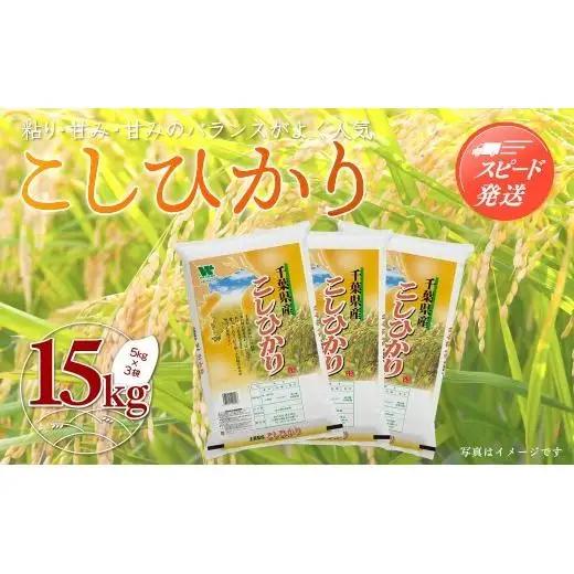 【最短2～7営業日出荷】令和7年産 千葉県産「コシヒカリ」15kg（5kg×3袋） お米 15kg 千葉県産 大網白里市 コシヒカリ 米 精米 こめ 送料無料  A049