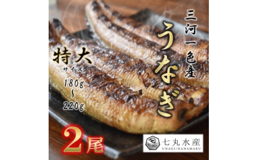 ＜国産うなぎ＞特大サイズ180g-220g　三河一色産　2尾　炭火蒲焼き(タレ付き)【1659388】