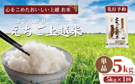 令和7年 新米 新潟県産コシヒカリ えちご上越米 5kg 新潟 米 新潟県 こしひかり 限定 おすすめ